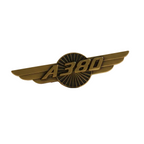 Golden A380 Pin