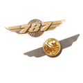 Piocha B787