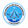 Sticker Resina Epóxica Halcones