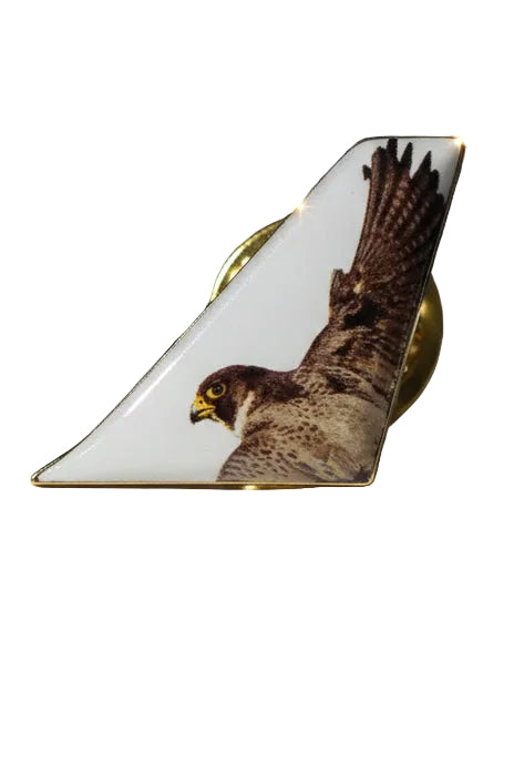 Pin Jetsmart Akori